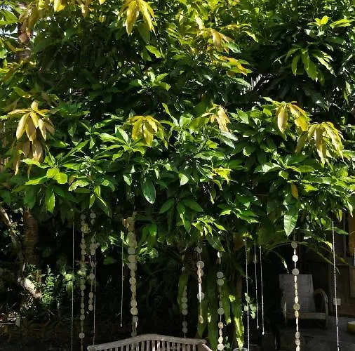 Guest house The Spare Bali Canggu (Bali)